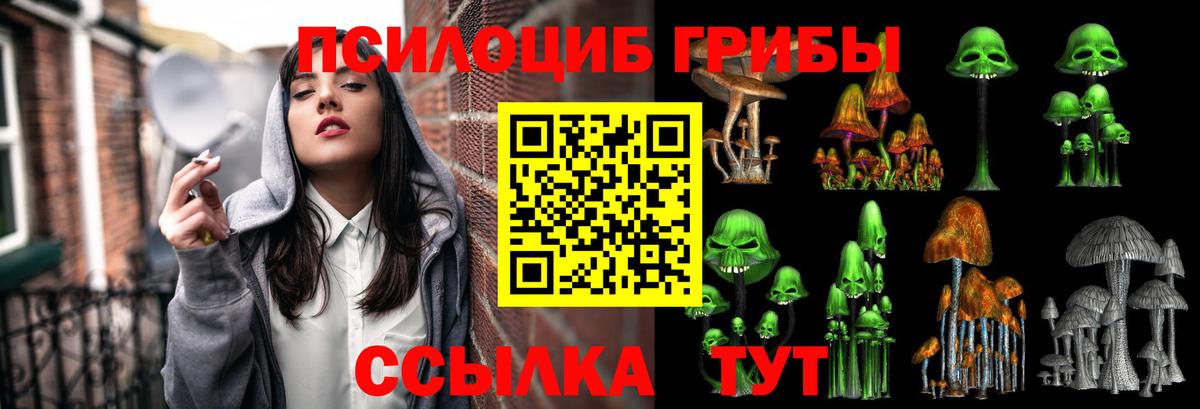 Алексин  Галлюциногенные грибы MAGIC MUSHROOMS  Псилоцибиновые грибы мухоморы  Вход с VPN 
